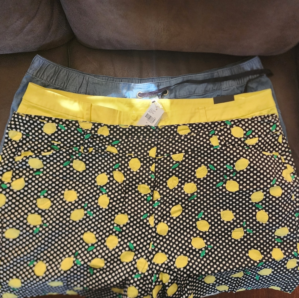 Bundle-3 pair of Lane Bryant Shorts/ Size 24